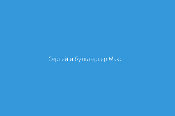 Сергей и бультерьер Макс